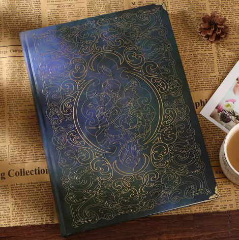 Manifesting Journal (One Notebook)
