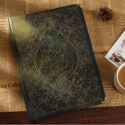 Manifesting Journal (One Notebook)