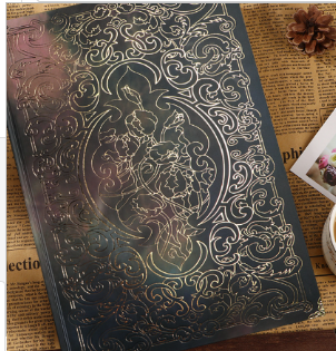 Manifesting Journal (One Notebook)