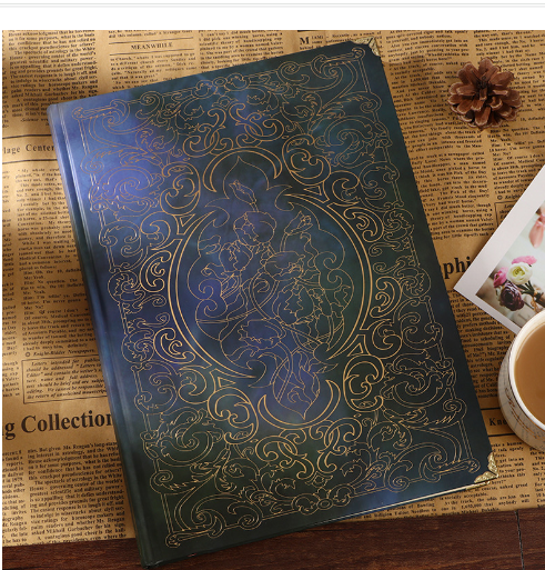 Manifesting Journal (One Notebook)