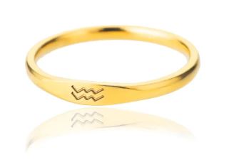 Dainty Zodiac Ring